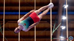 santos ricardo por foto simone ferraro sfa 9151a copia